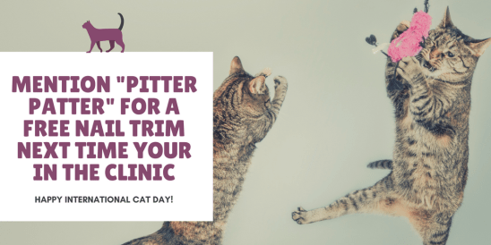Mention _Pitter Patter_ for a free nail trim next time your in the clinic
