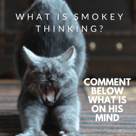 What is Smokey thinking_.png